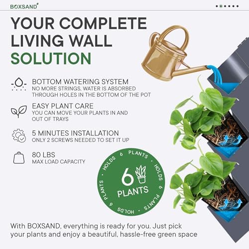 BOXSAND-6 Vertical Wall Planter – Living Wall - Image 3