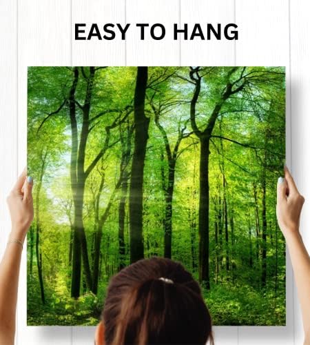 Forest Wall Art Decor, Large 3 Panel Canvas 24x72 - Image 6