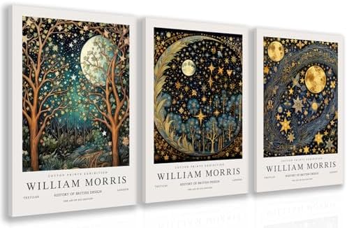 Hianan Wrapped Canvas William Morris Moon Star Wall Art Set of 3, 12x16 in by Unknown
