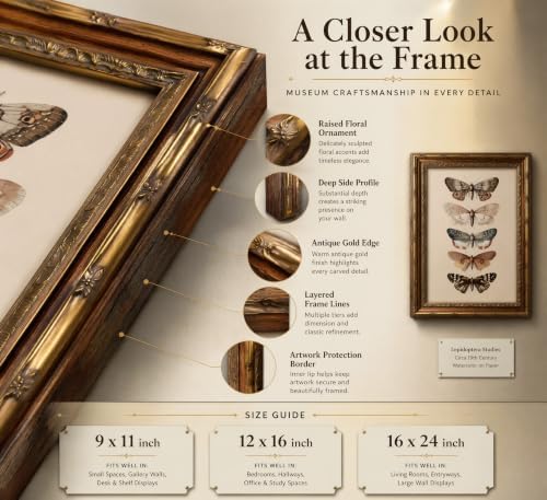 Vintage Gold Framed Butterfly Canvas Wall Art, Retro Moody Moth Painting - Image 4