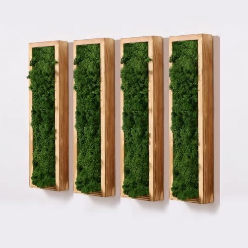 Mokof Preserved Moss Wall Art Decor, Forest Green, 4 Pack by Mokof