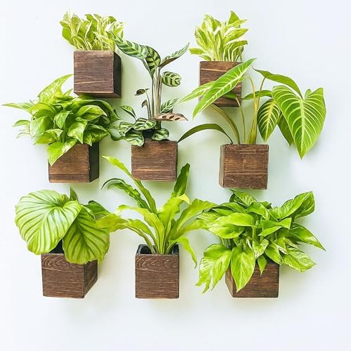 LaLaGreen Wood Planter Boxes for Plants Wooden Wall Planters by L%C3%A1L%C3%A1Green