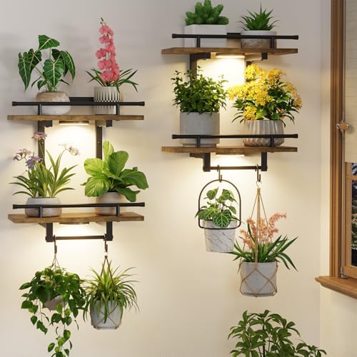LASZOLA Floating Plant Shelves Holder Wall Indoor by LASZOLA