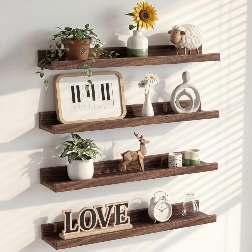 Heimlove 24 Inch Picture Ledge Shelf by Heimlove