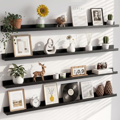 Heimlove 48 Inch Picture Ledge Shelf by Heimlove