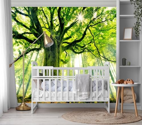 XMPMBM-Green Forest backsplash Large Decorative Wallpaper Large Tree Bedroom - Image 3