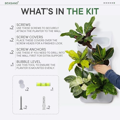 BOXSAND-6 Vertical Wall Planter – Living Wall - Image 7