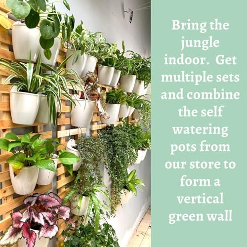ShopLaLa Wall Planter for Plants Wooden Hanging Planters - Image 3