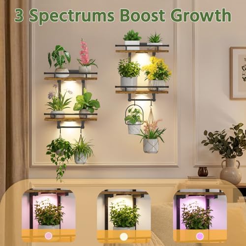 LASZOLA Floating Plant Shelves Holder Wall Indoor - Image 6