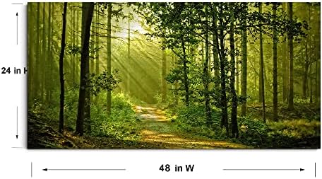 Green Morning Sunlight Forest Scenery Canvas Wall Art - Image 4