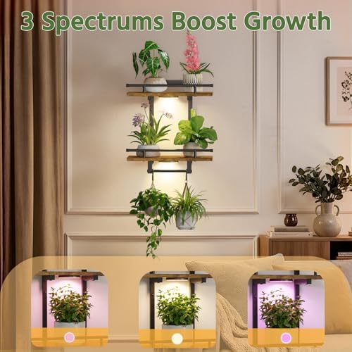 LASZOLA Floating Plant Shelves Holder Wall Indoor - Image 5