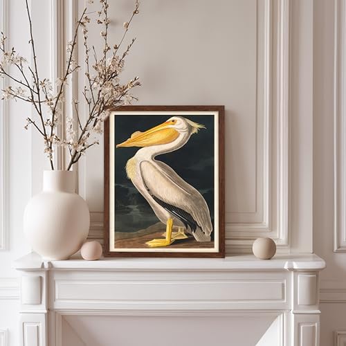 Poster Master Vintage John James Audubon Poster - Image 5