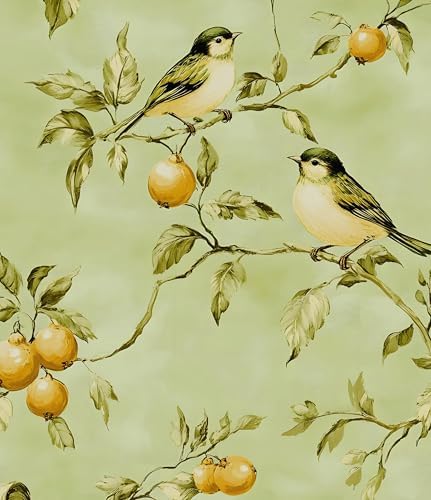 Laatse Vintage Green Bird Floral Botanical Wallpaper 17.5"x118" by Laatse