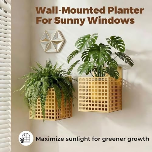 Self-Watering Wall Mount Planter – Gold Indoor Plant Holder Wall Hanging - Image 5