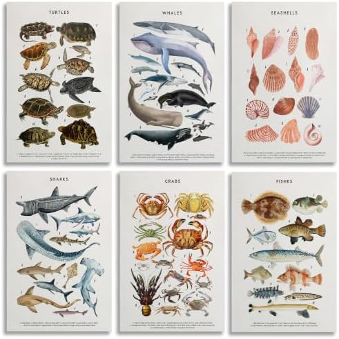 PeuYot Marine Life Wall Art, Unframed Canvas Posters, Vintage Sea Turtle Whale by PeuYot