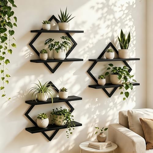 Set of 3 Wall Plant Holder by Hoolicute
