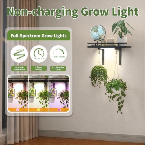 LASZOLA Wall Plant Shelves Floating Hanger Holder - Image 4