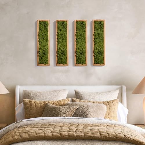 Mokof Preserved Moss Wall Art Decor, Moss Green, 4 Pack - Image 4