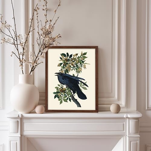 Poster Master Vintage John James Audubon Poster - Image 5