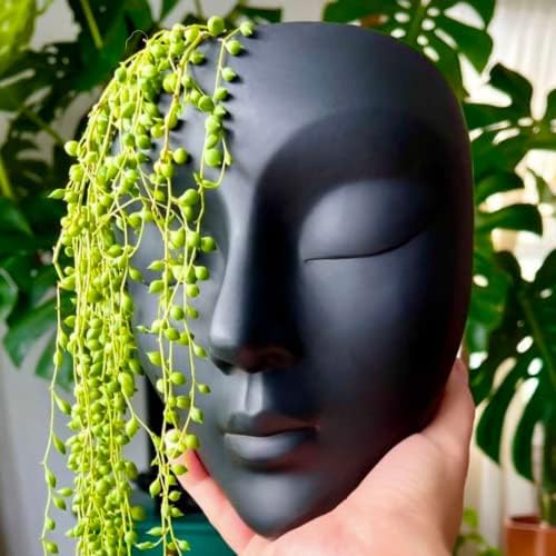 Face Planter, Wall-Mountable Vertical Planter by BossaLinda