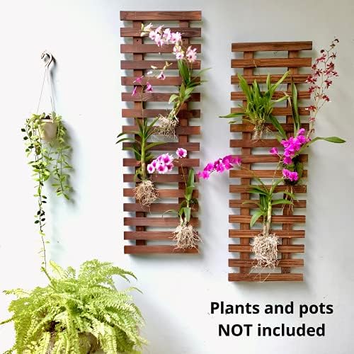 ShopLaLa Wooden Planter Wall Planters - Image 5