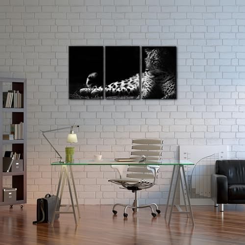 Pacimo Animals Wall Art Set of 3 - Image 3