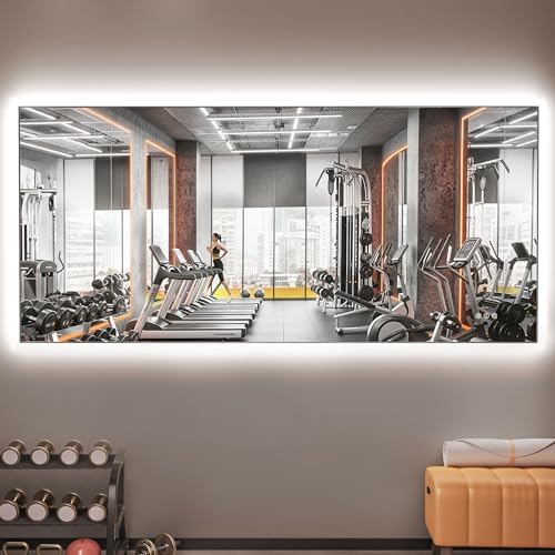 Hasipu 83''x 40'' Home Gym Mirror by Whatssuitableisthebest