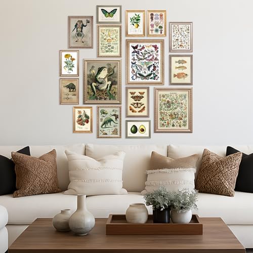 LANCHI95 16 Pcs Unframed Vintage Botanical Biology Art - Image 4