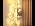 Bare Lamp LED Tree Branch Lights - Image 7