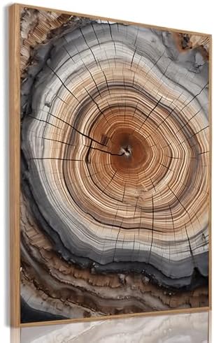 Tree Ring Wall Art Framed, Modern Nature Decor by IBHJSARTWallArt