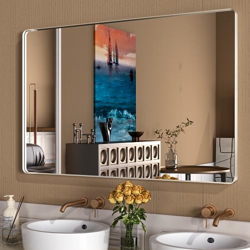 WEER Brushed Nickel Bathroom Vanity Mirror 55X30 Inch by WEER