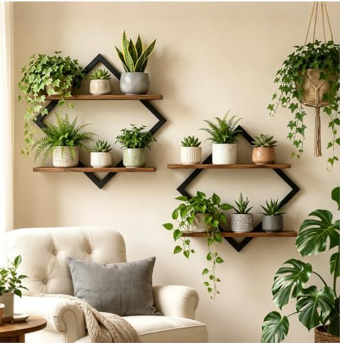 2 Pack Floating Wall Shelves Plant Holders by Hoolicute