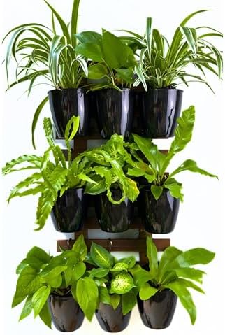 LaLaGreen Wall Planters for Indoor Plants Small Planter - Image 4
