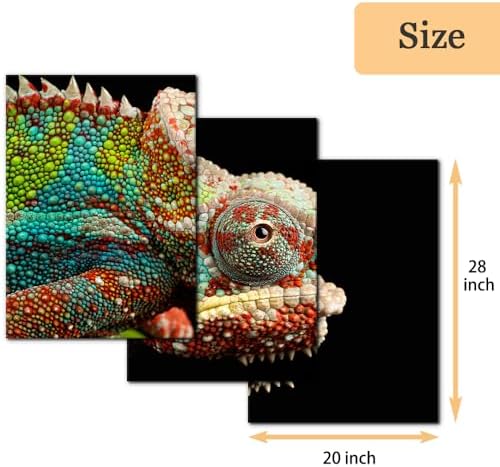 Pacimo Canvas Print Wall Art Set Chameleon Nature Photography Animals Realism - Image 4