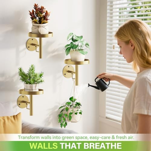 DELLAN Wall Plant Holder, All Gold - Image 2