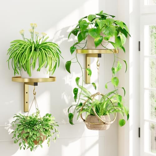 iDavosic.ly Plant Wall Hanger Holder Set of 2 by iDavosicly