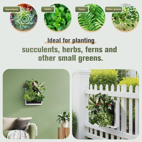 Wall Mounted Planter, Vertical Garden - Image 3