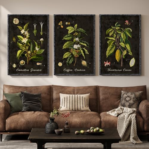 Large Vintage Framed Botanical Wall Art by Cuspin