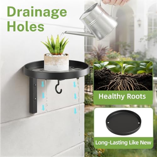iDavosic.ly Plant Wall Hanger Set of 2 - Image 2