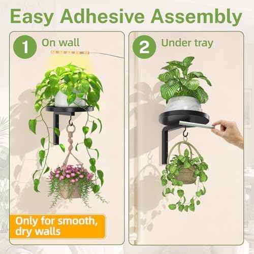 iDavosic.ly Plant Wall Hanger - Image 6