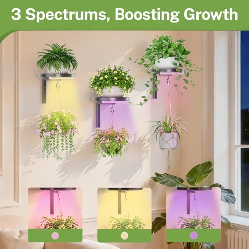 iDavosic.ly Plant Wall Hanger - Image 5