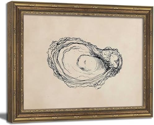 Gold Framed Wall Art Vintage Oyster Shell Sketch Wall Art Rustic Kitchen by ZHENYVLZ