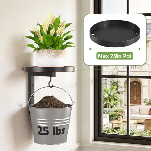 iDavosic.ly Plant Wall Hanger Set of 2 - Image 5
