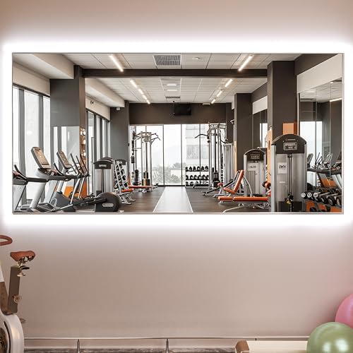 Hasipu 79''x 36'' Home Gym Mirror by Whatssuitableisthebest