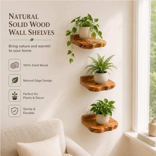 Small Floating Shelf for Wall Set of 3 Natural Cedar Wood 6 Inch Mini Wall - Image 7
