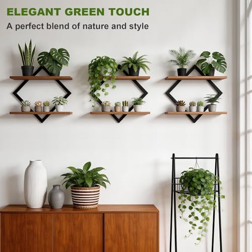 Set of 3 Floating Wall Shelves for Plants - Image 3