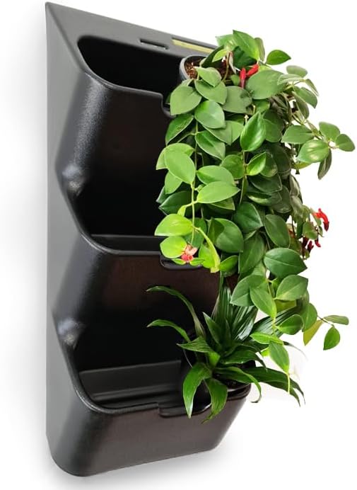 BOXSAND-6 Vertical Wall Planter – Living Wall by BOXSAND