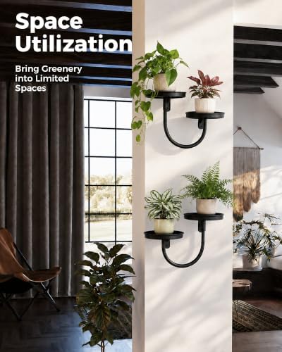 Bamworld Wall Planters for Indoor Plants Metal Wall Plant Holder Plant Wall - Image 6