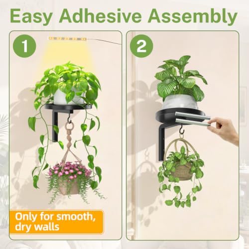 iDavosic.ly Plant Wall Hanger - Image 6