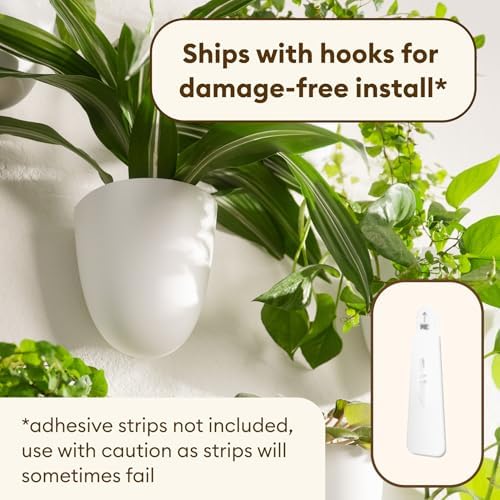 PlantPod Classic - Image 4